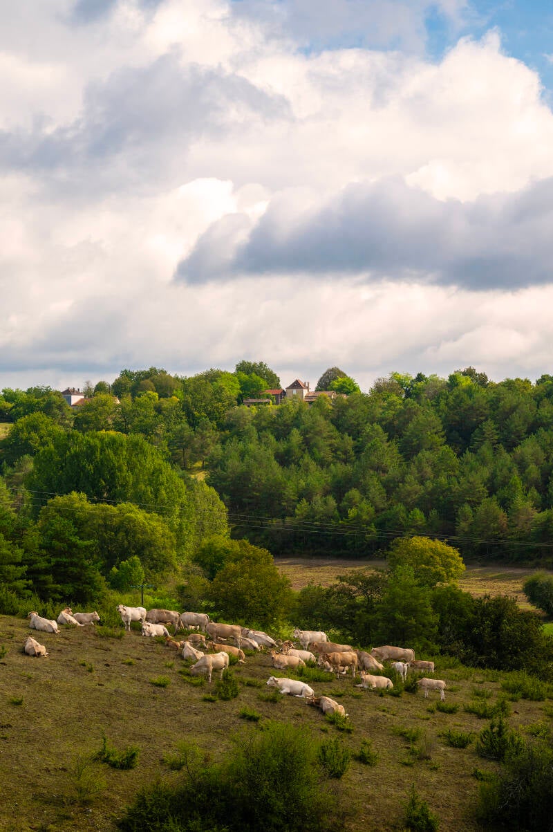 Dordogne
