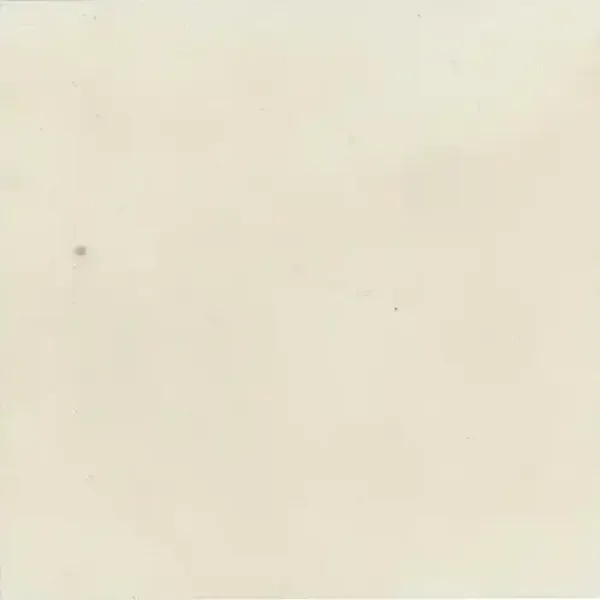 Bel Histoire Albatre 15x15