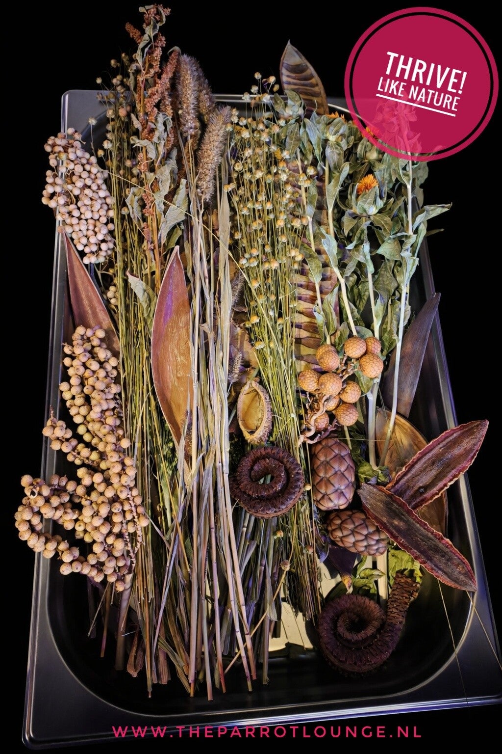 Thrive Like Nature Blend