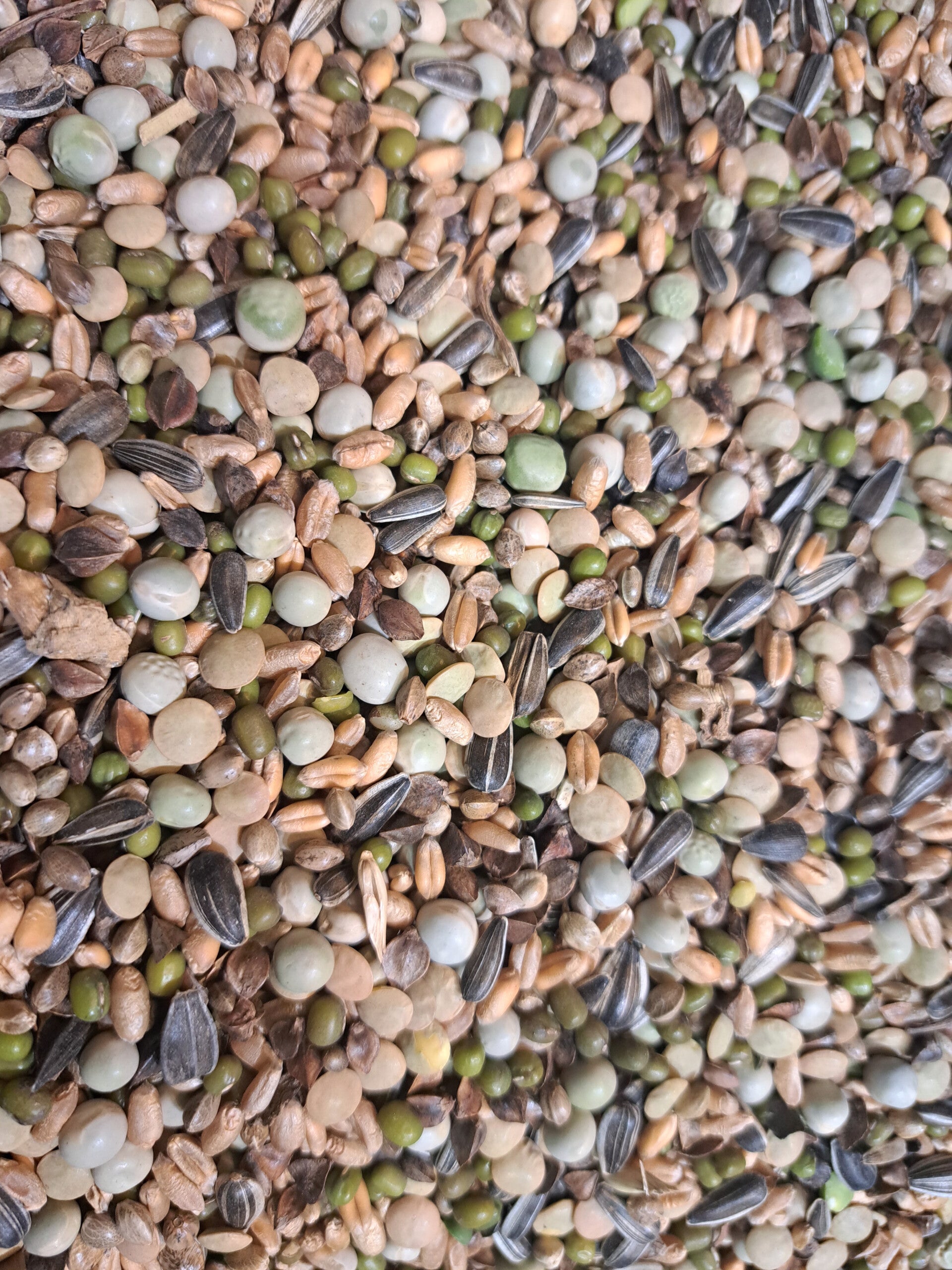 Soak and Sprout mix 1 kg