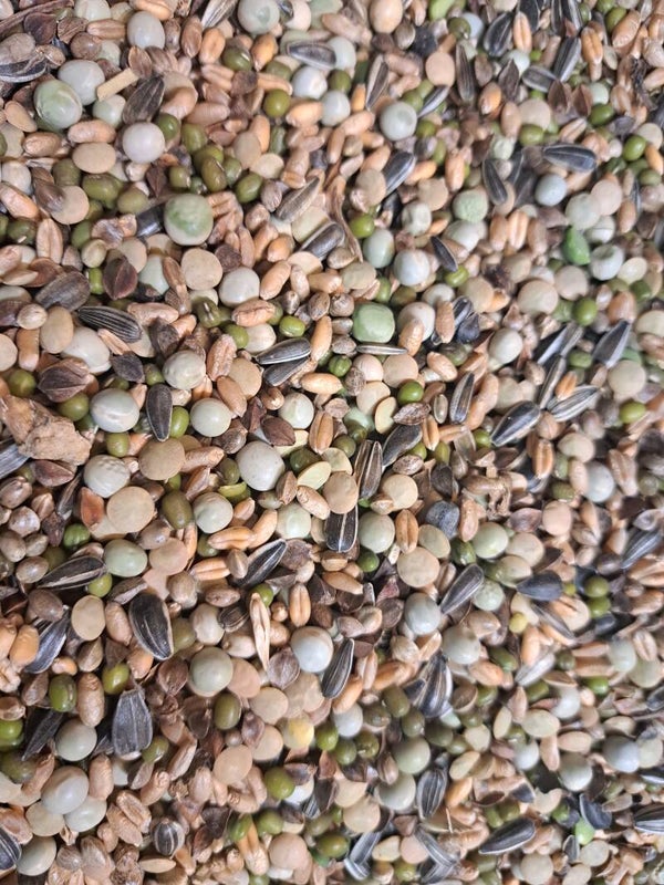 Soak and Sprout mix 1 kg