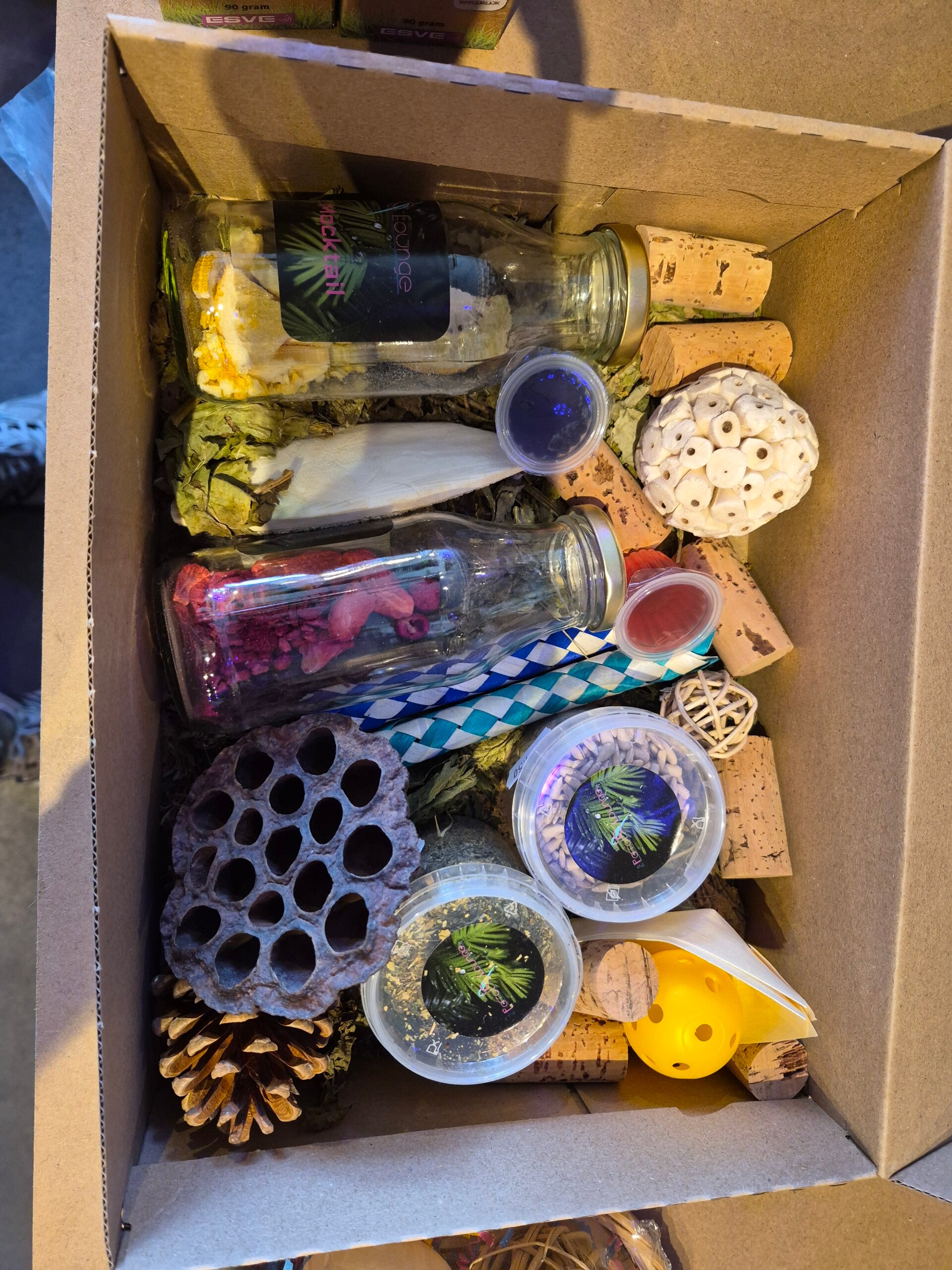 The Parrot Lounge Fun and Snack box