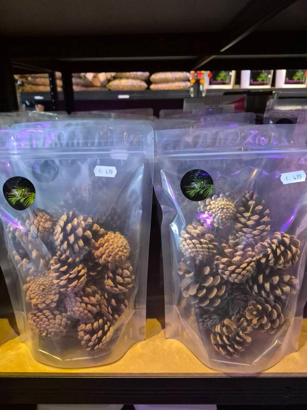 Dennenappels in zak