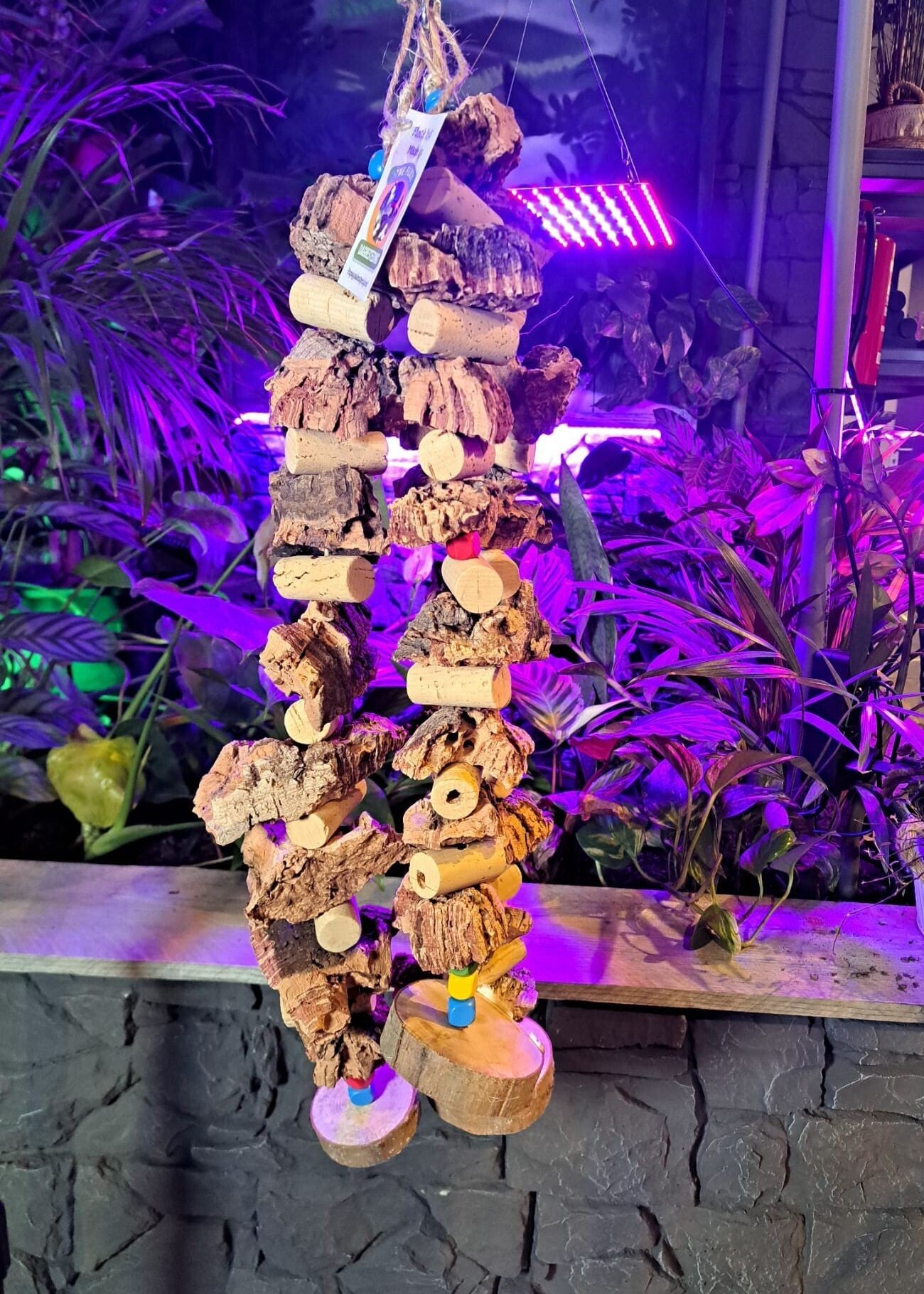 The Parrot Lounge Cork Strings XL