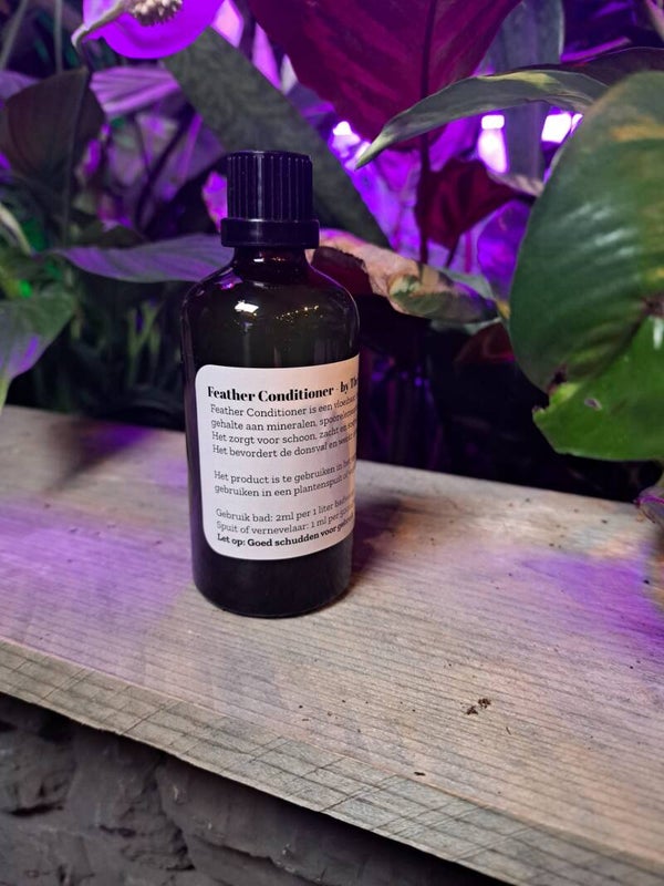 The Parrot Lounge Feather Conditioner