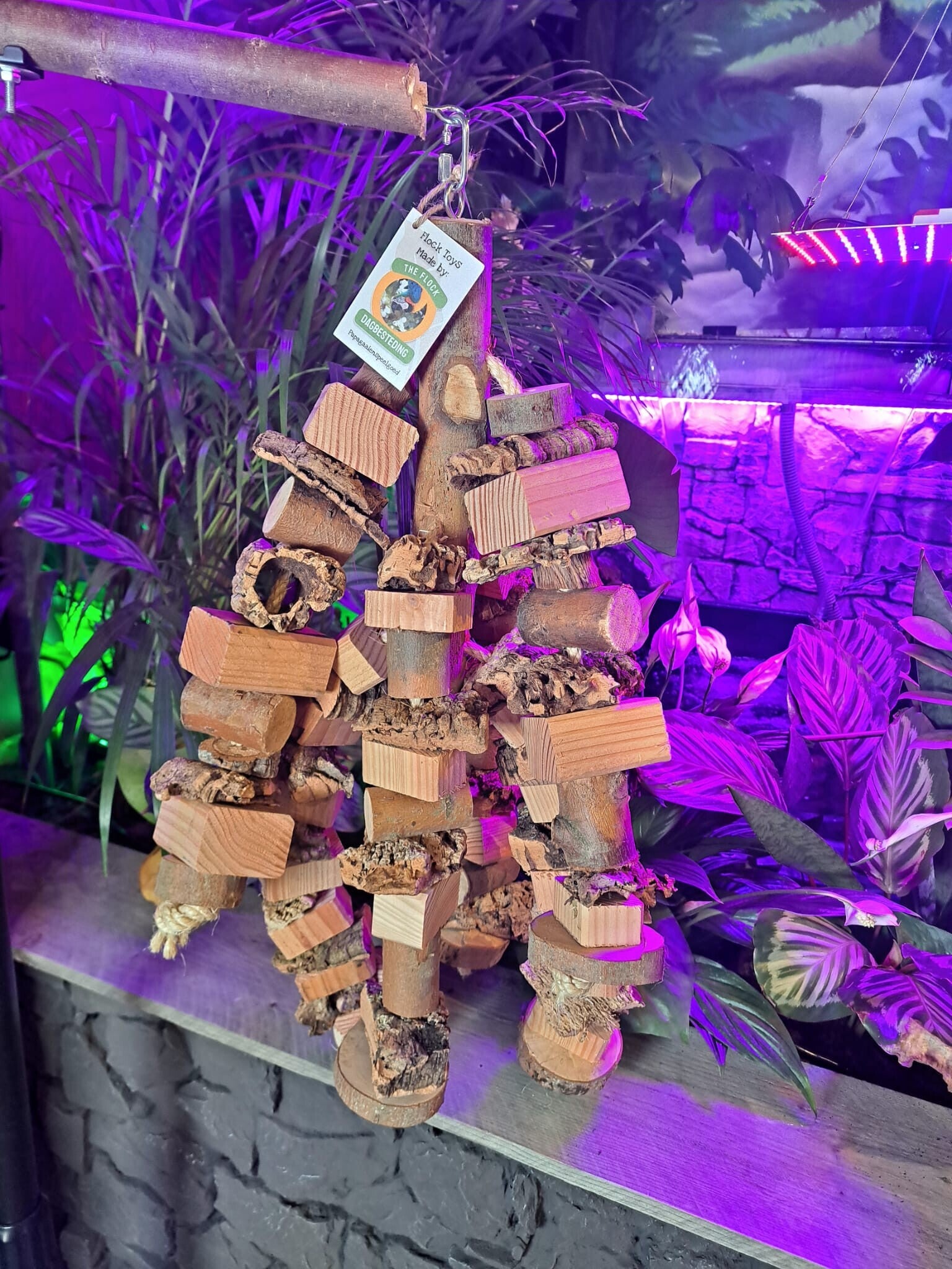 The Parrot Lounge Octopus XL