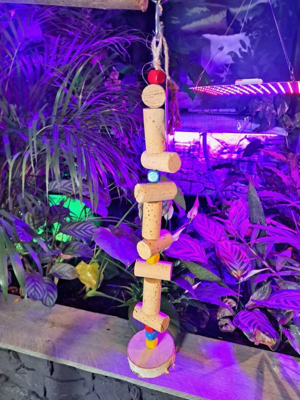 The Parrot Lounge Single Cork String