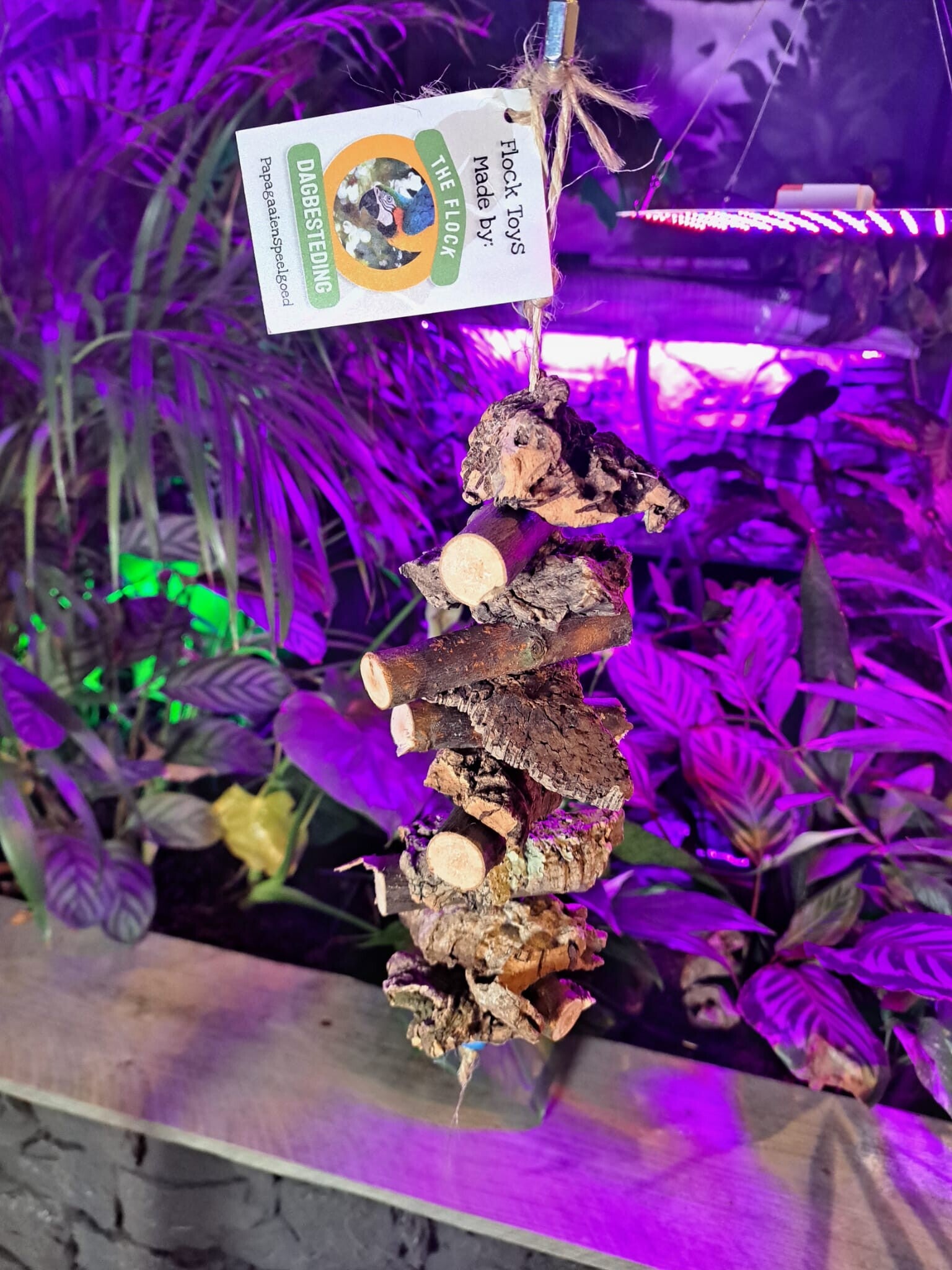 The Parrot Lounge Cork and Willow