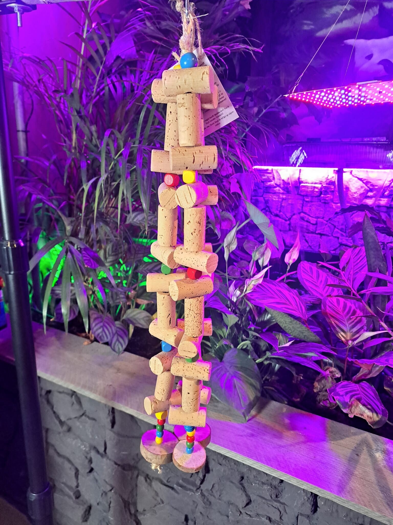 The Parrot Lounge Corkstring Threesome