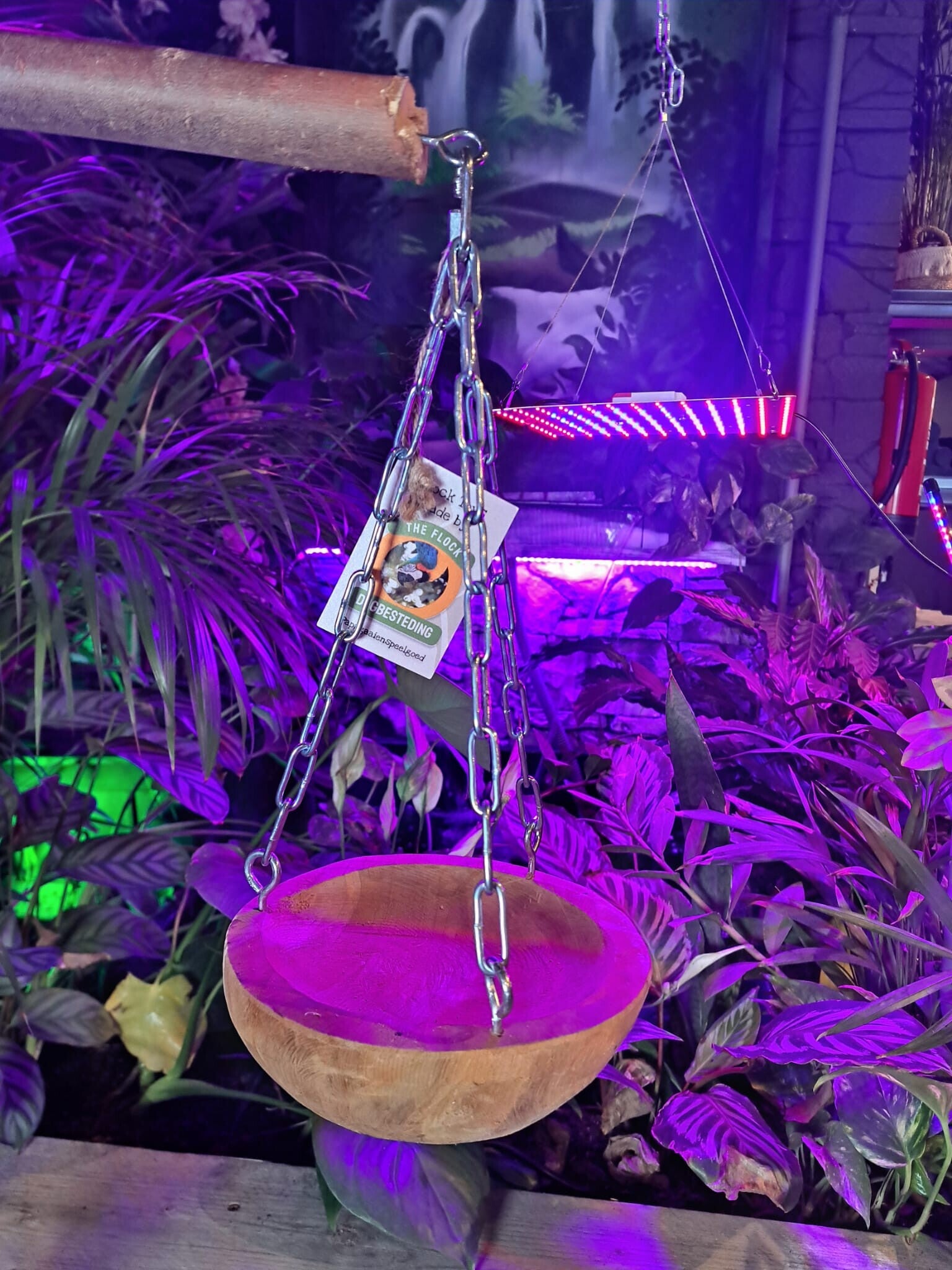 Foerageerschaal Medium Teak