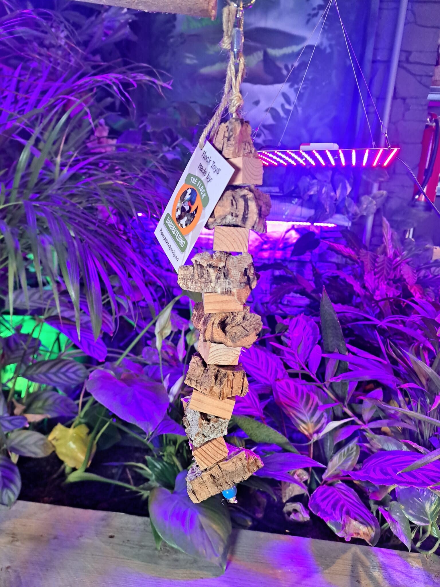 The Parrot Lounge Cork and Wood Tower Medium