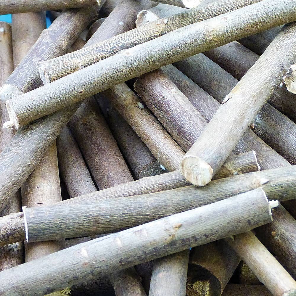 Papegaaienspeelgoed Bosje Wilgentakken 5 bosjes