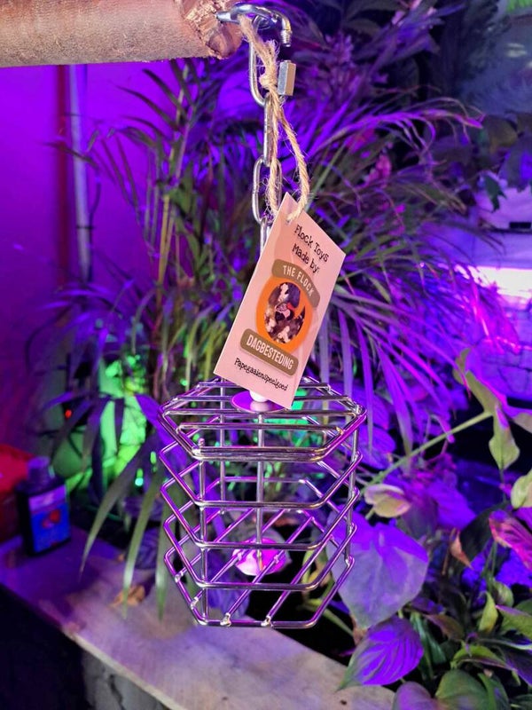 Papegaaienspeelgoed Baffle Cage Small