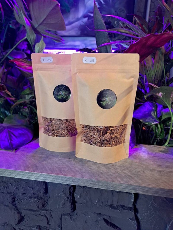 The Parrot Lounge Insectenmix