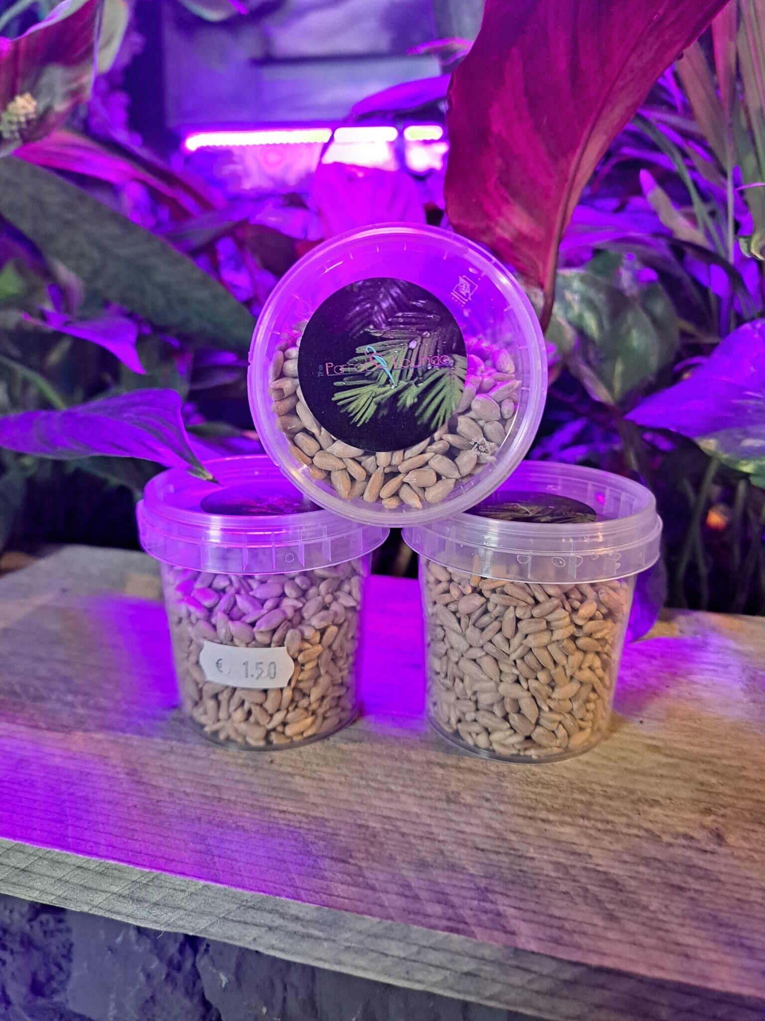 Zonnebloempitten gepeld beloningssnacks