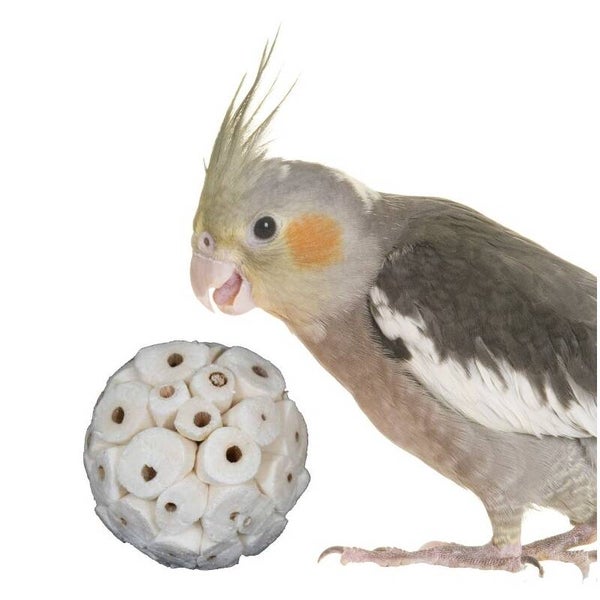 Papegaaienspeelgoed Sola ball 6 cm