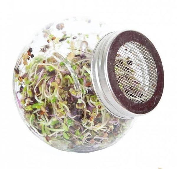 Kiempot glas