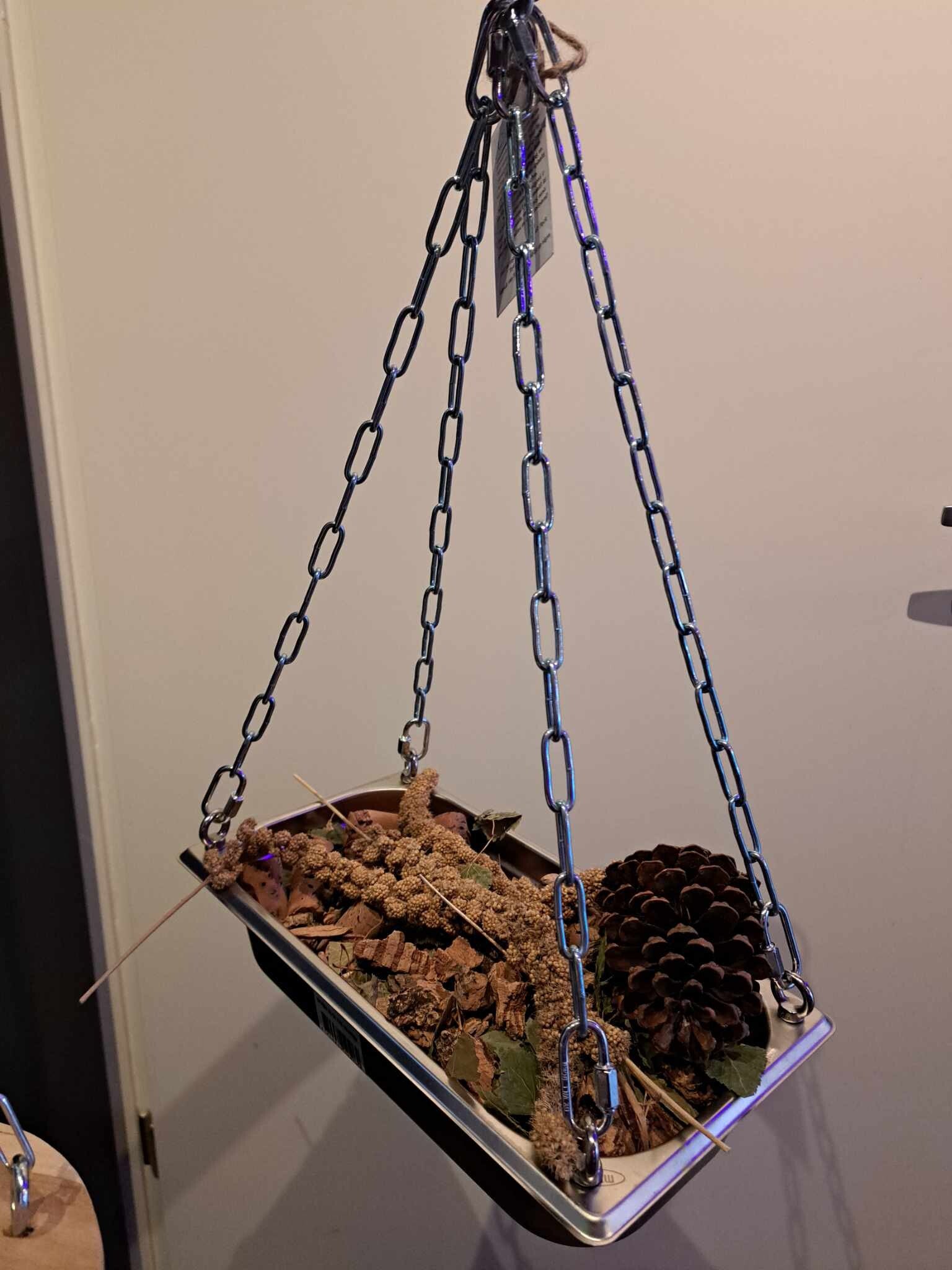 Foerageerschaal RVS Small