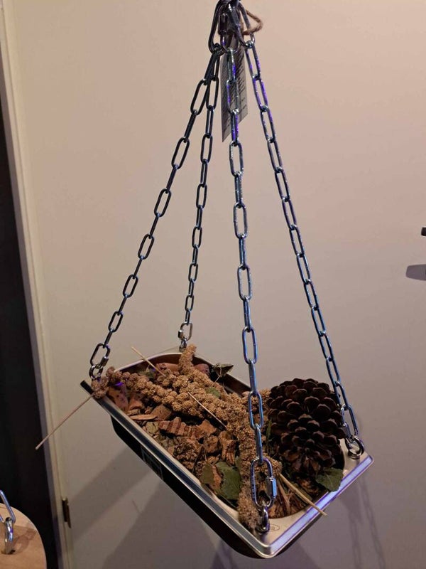 Foerageerschaal RVS Small