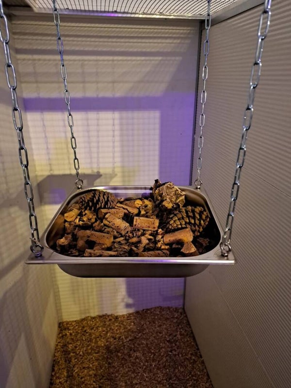 Foerageerschaal RVS Medium