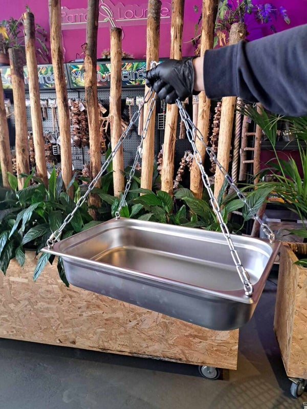 Foerageerschaal RVS Large