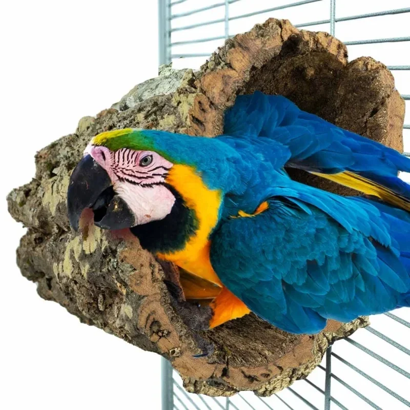 The Parrot Lounge Trunkhut Large