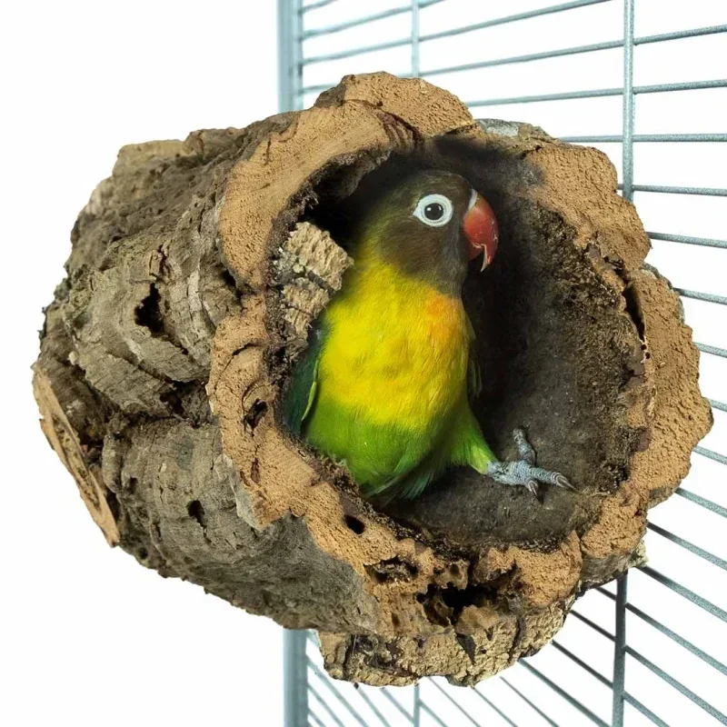 The Parrot Lounge Trunkhut Small