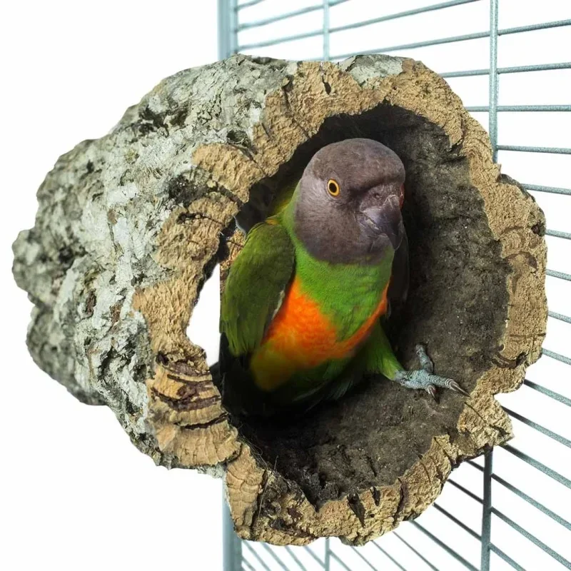 The Parrot Lounge Trunkhut Medium