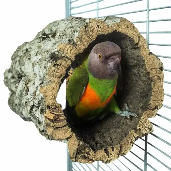 The Parrot Lounge Trunkhut Medium