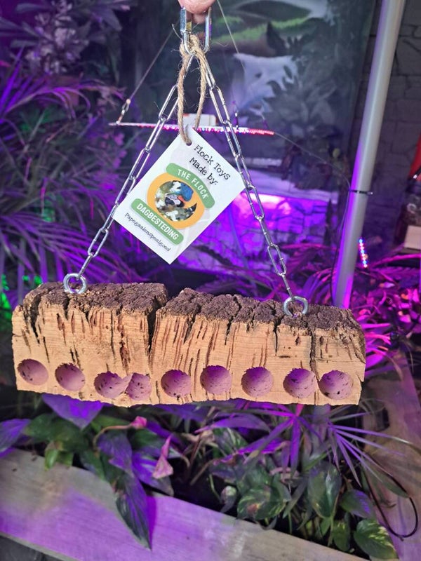 The Parrot Lounge Hide and Seek