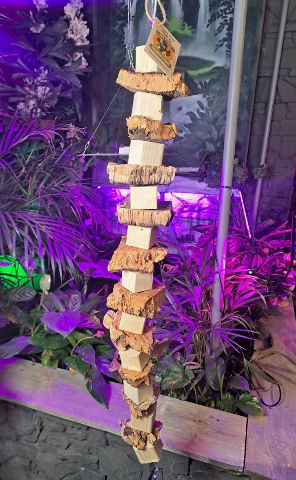 The Parrot Tough one