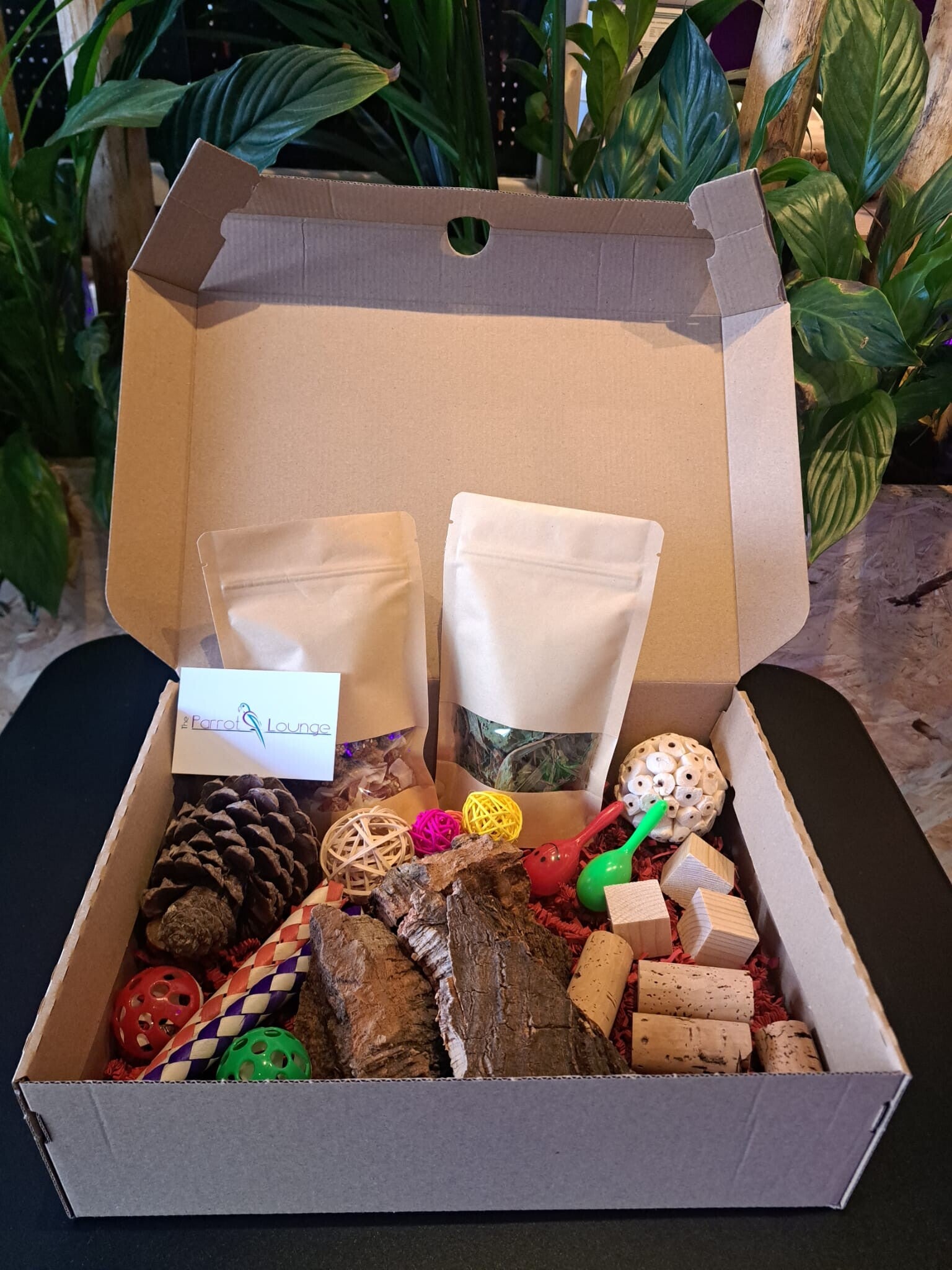 The Parrot Lounge Fun and Snack box