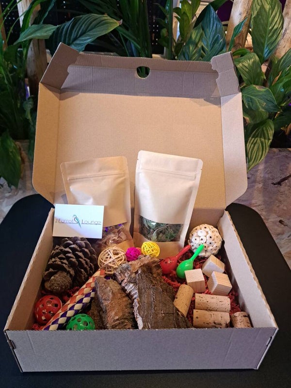The Parrot Lounge Fun and Snack box