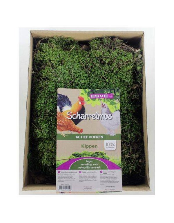 Esve foerageermos scharrelmos