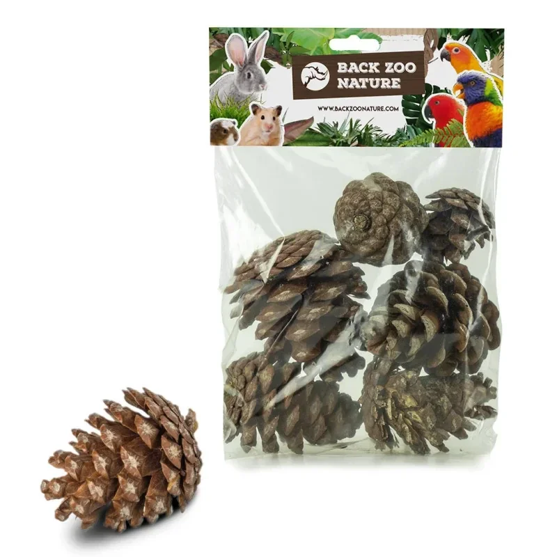 Back Zoo Nature Pine Cones