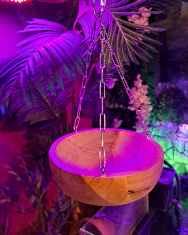 Foerageerschaal Small