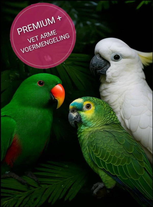 The Parrot Lounge Premium + Vet arm 3 kg