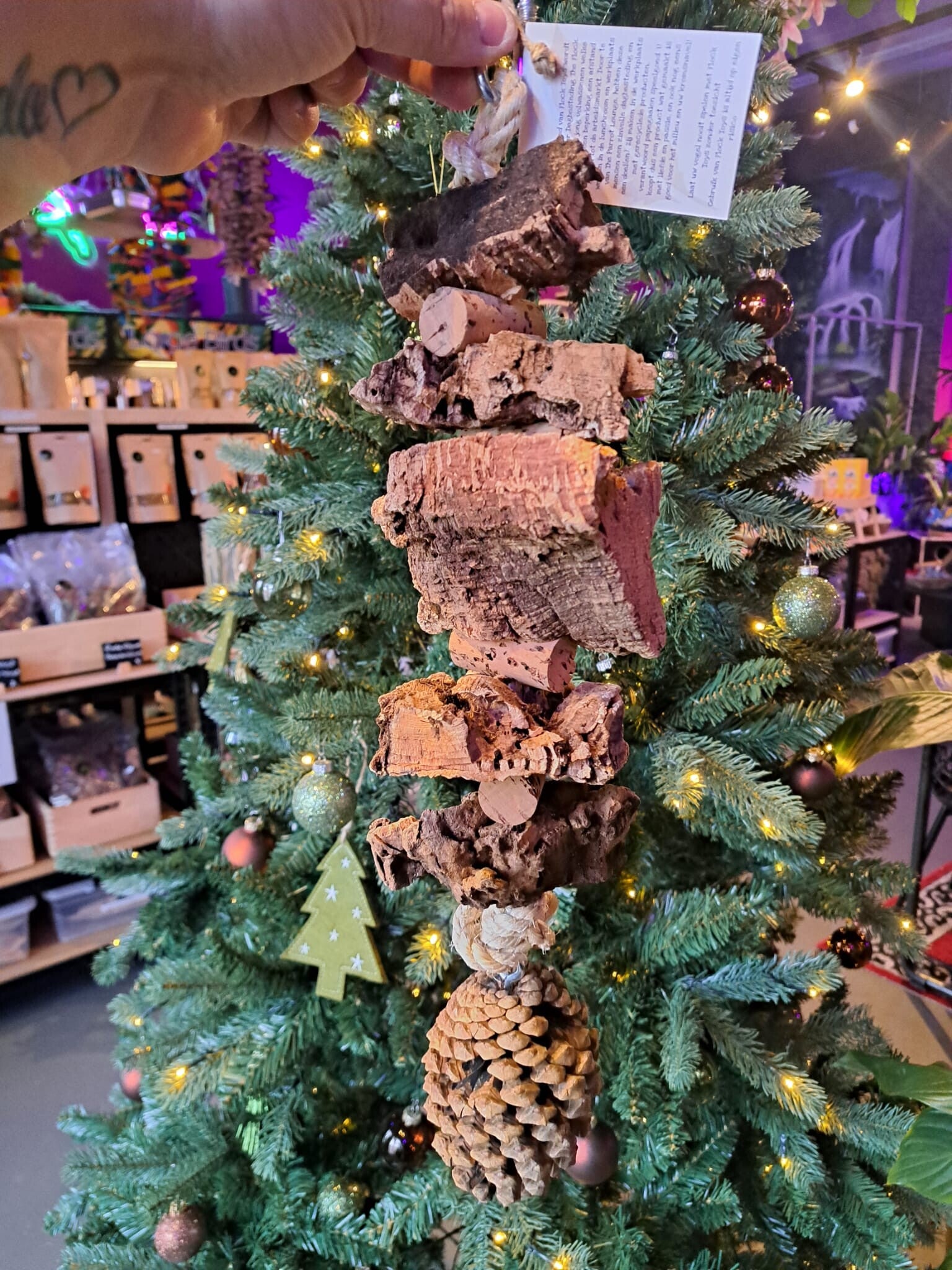 The Parrot Lounge Cork and Pinecone