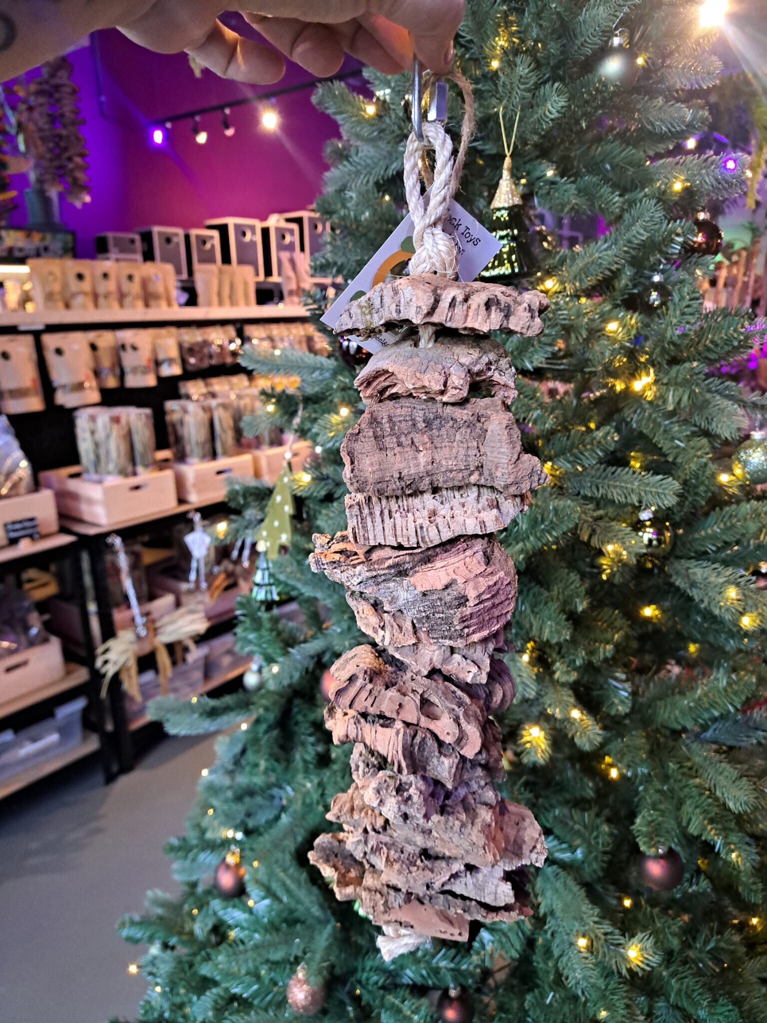 The Parrot Lounge Cork Shunk Tower Tough