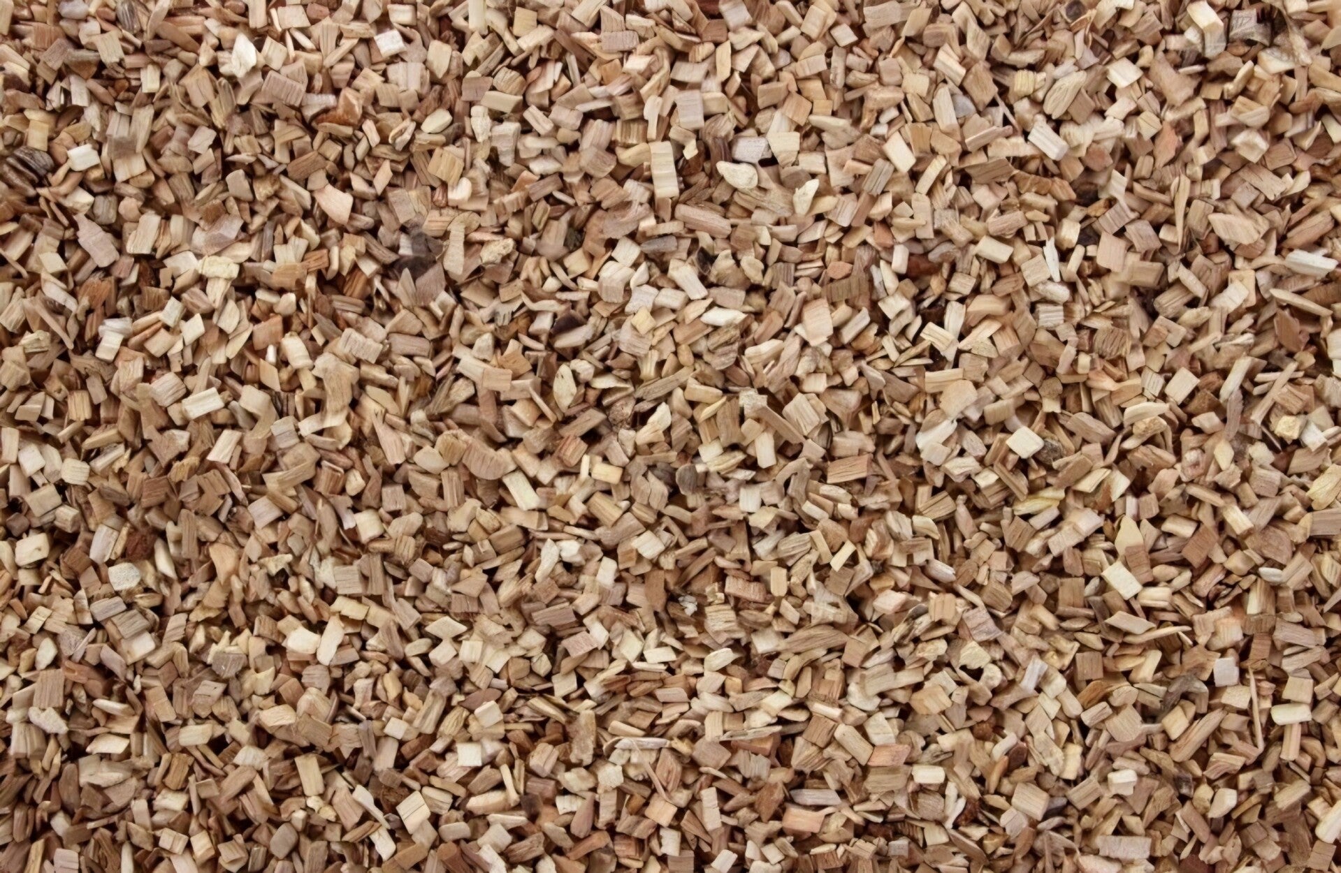 Beukensnippers fijn (6 mm) 20 liter