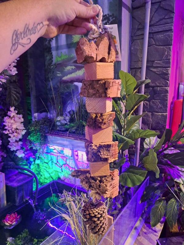 The Parrot Lounge Cork and Wood Tower