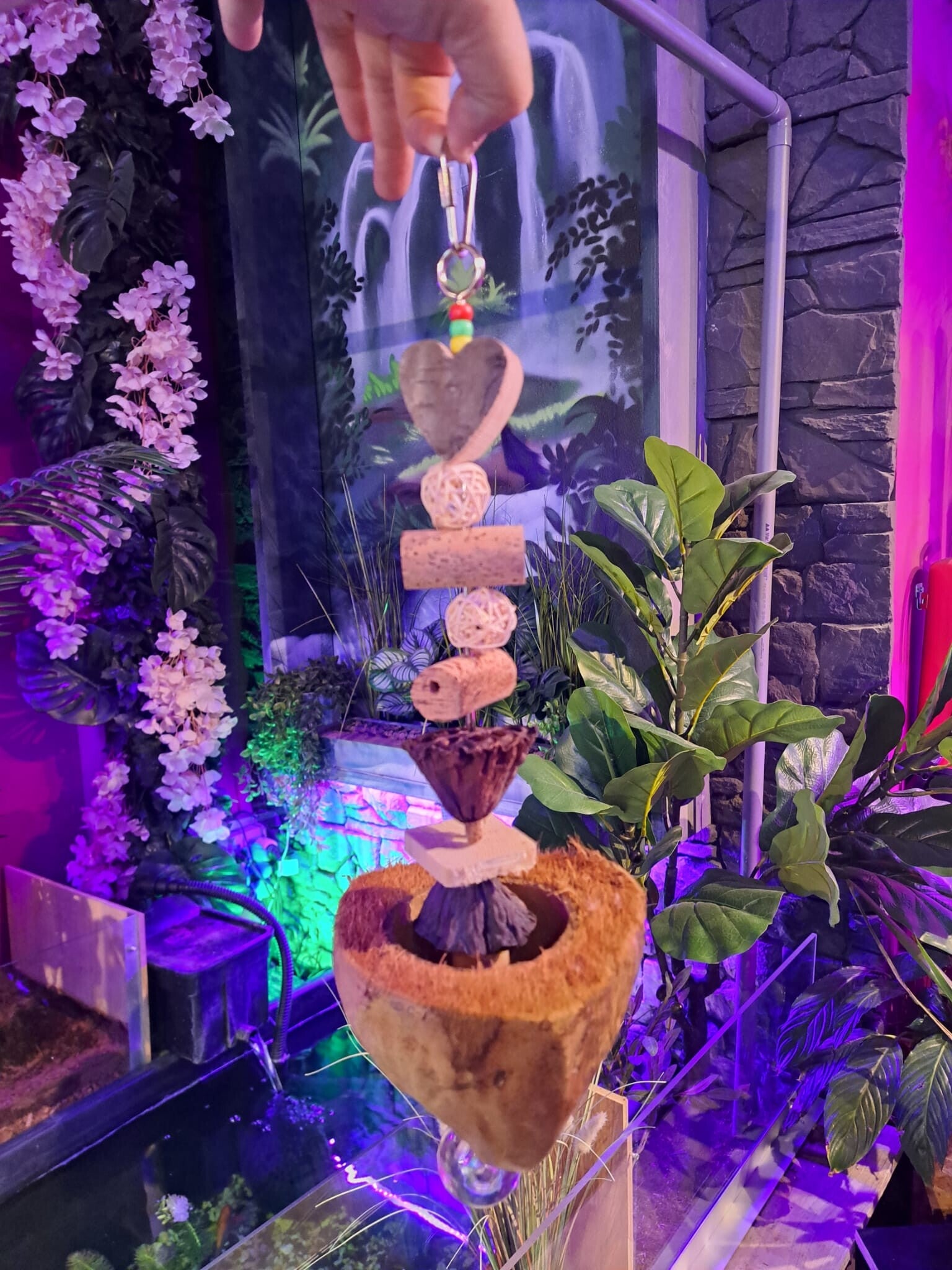 The Parrot Lounge Coconut Foraging bowl