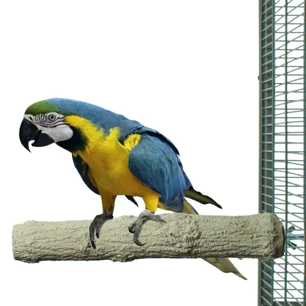 Back Zoo Nature Super Stone Zitstok 35 cm