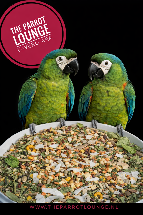 Premium Dwerg Ara Refill 5 kg