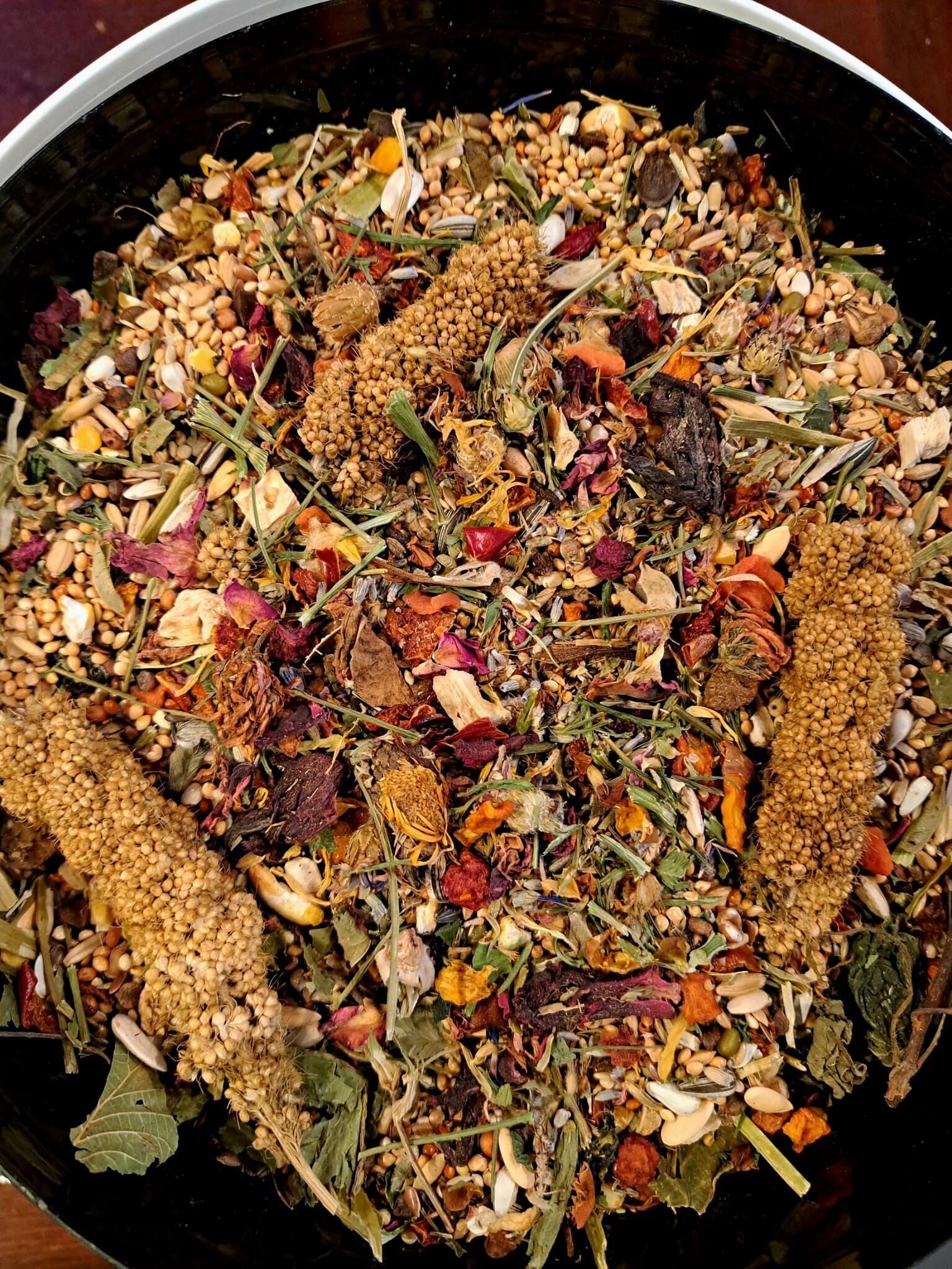 Premium Pyrrhura 3 kg