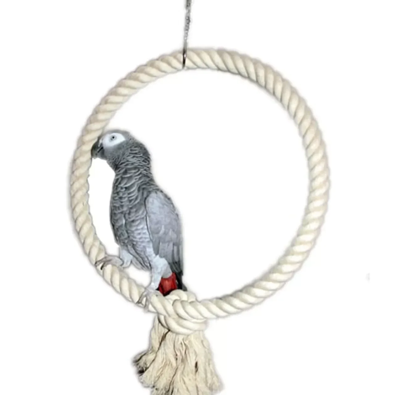 Papegaaienspeelgoed Schommel ring L