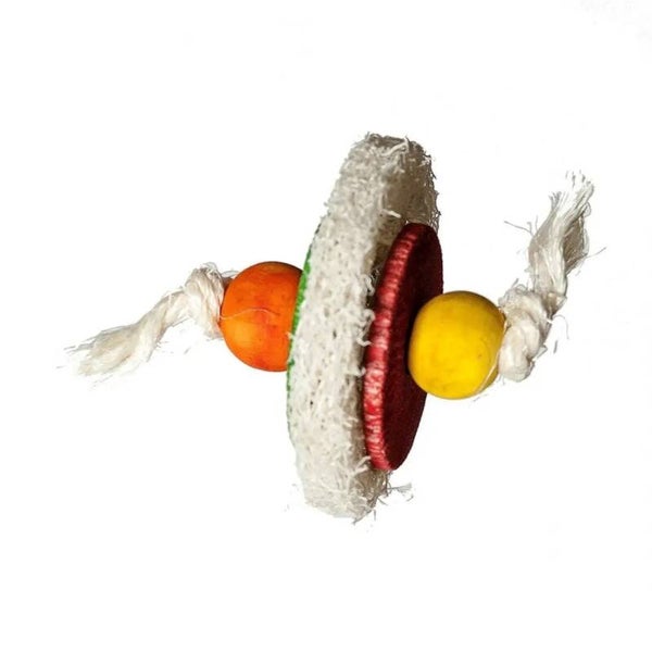 Papegaaien speelgoed Loofah Schijf Voetspeeltje