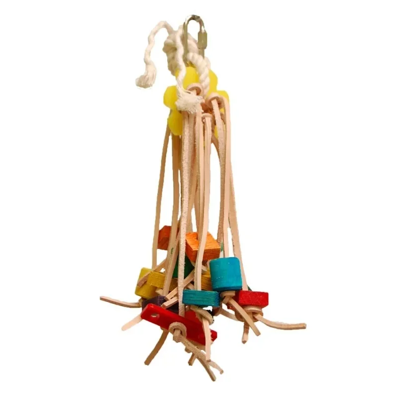 Zoo Max Spiddy Medium