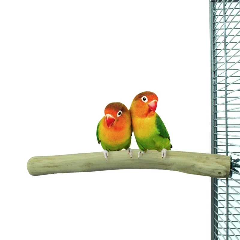 Back Zoo Nature Java Single Perch S zitstok