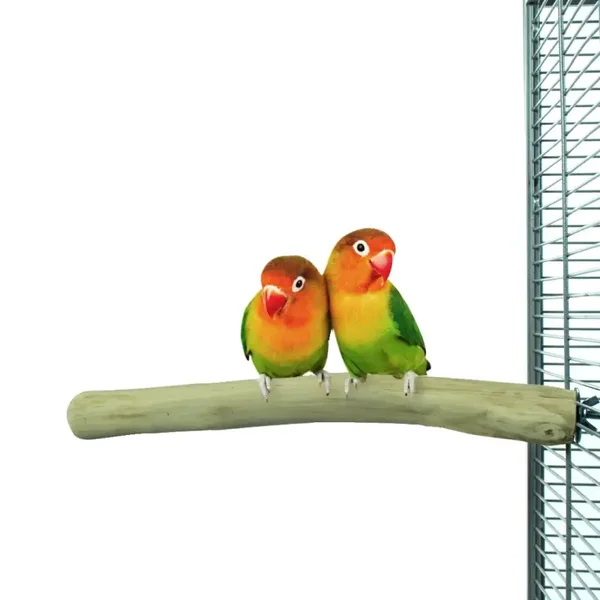 Back Zoo Nature Java Single Perch S zitstok